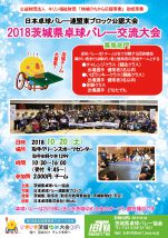 2018茨城県卓球バレー交流大会